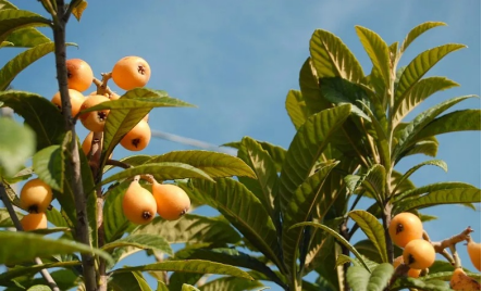 311685510834874800.png image.png