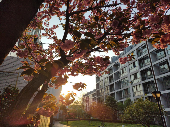 091691541988128538.png image.png