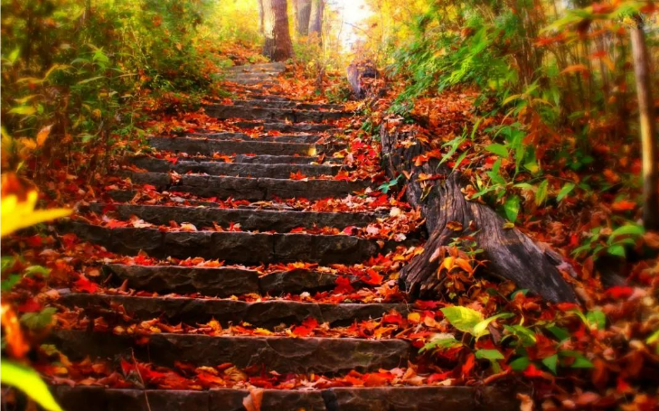 071701949491546797.png image.png